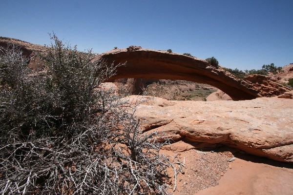 Eggshell Arch