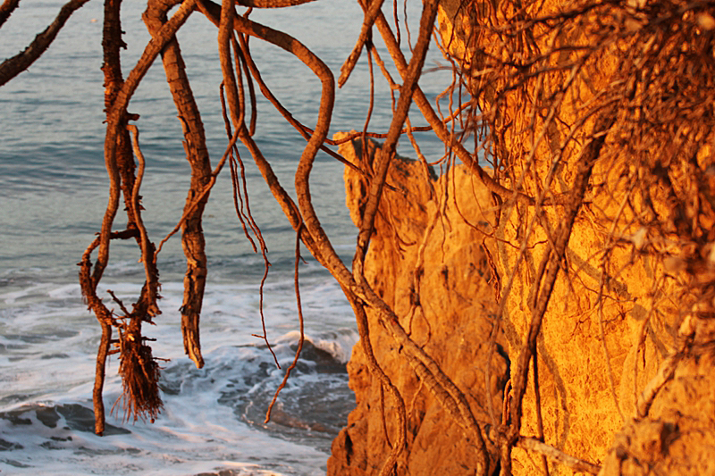 El Matador State Beach