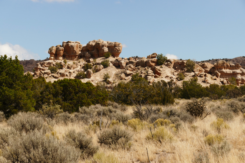 El Rito Carson [Carson National Forest]