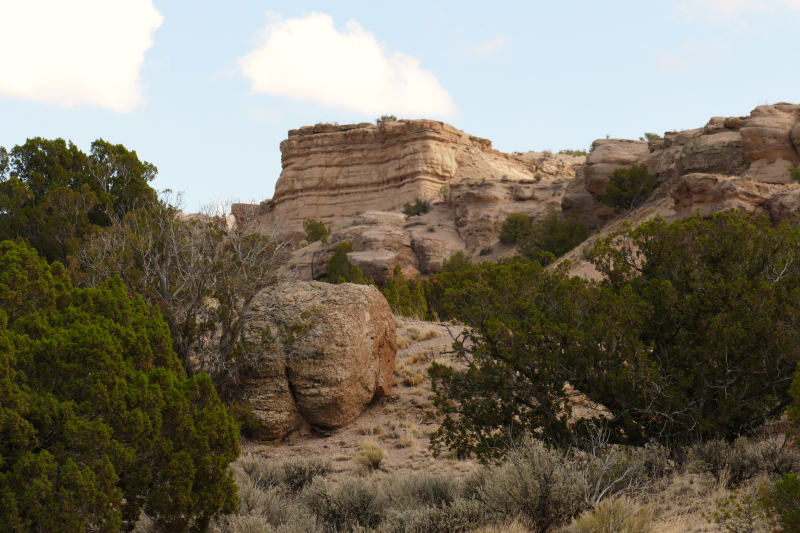 El Rito Carson [Carson National Forest]