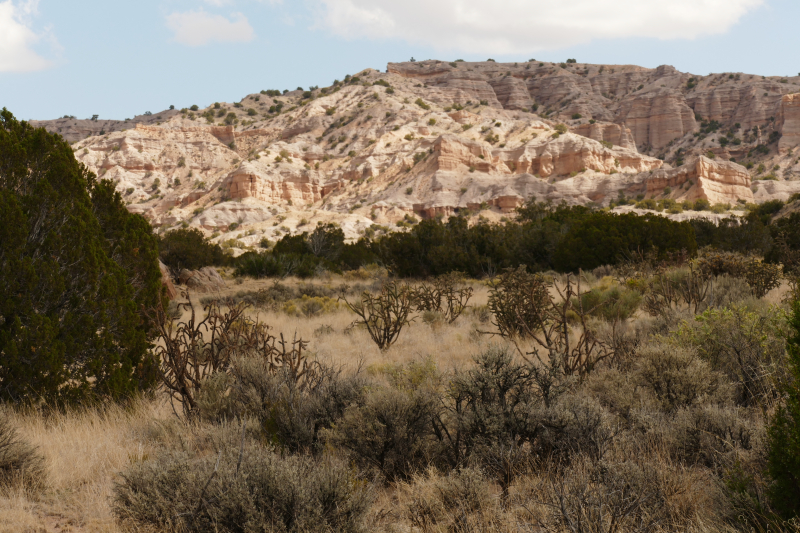 El Rito Carson [Carson National Forest]