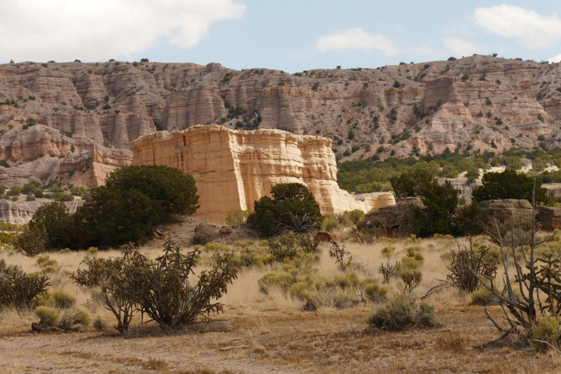 El Rito Carson Loop [Carson National Forest]