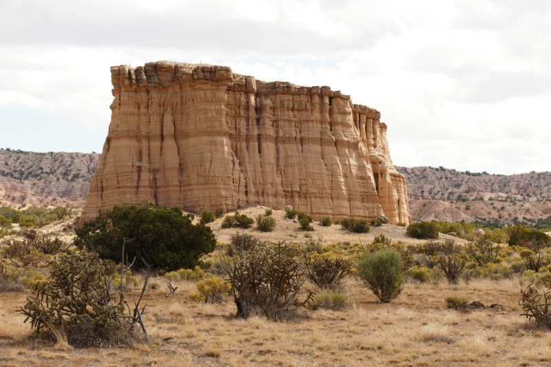 El Rito Carson [Carson National Forest]