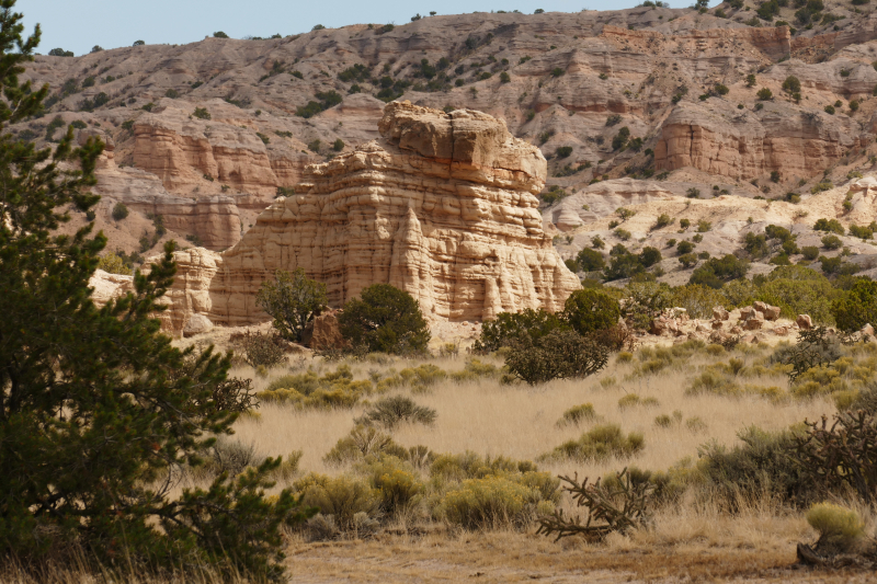 El Rito Carson [Carson National Forest]