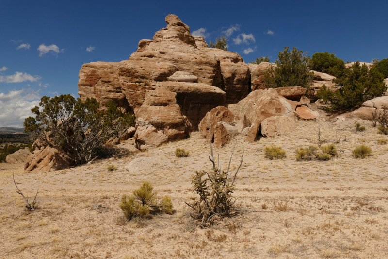 El Rito Carson [Carson National Forest]