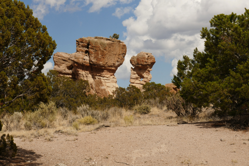 El Rito Carson Loop [Carson National Forest]