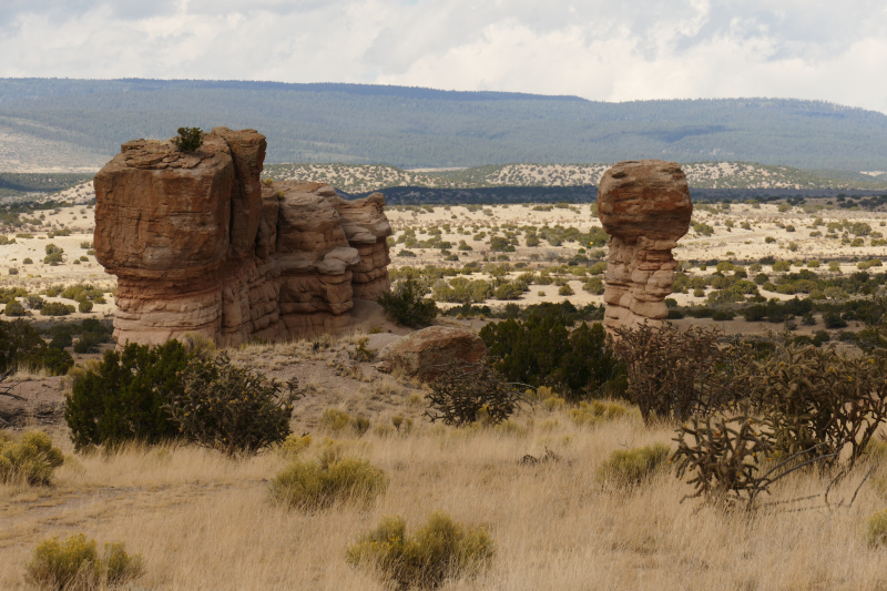 El Rito Carson [Carson National Forest]