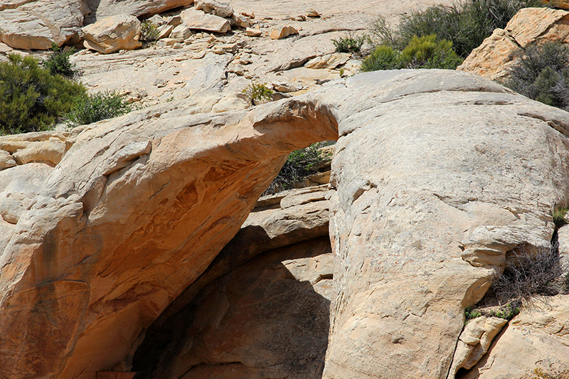 Ela Natural Bridge Glade Park