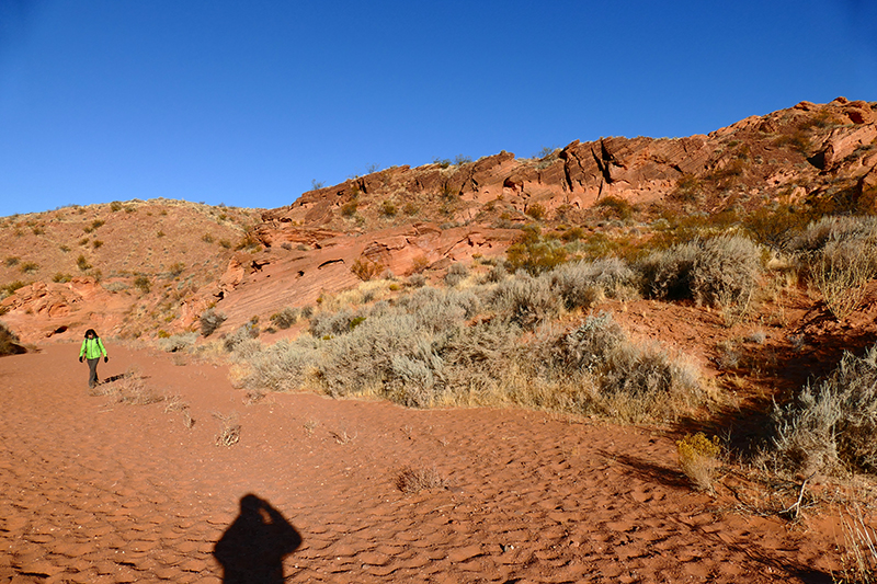 USA Hiking Database: Elephant Arch [Red Cliffs National Conservation Area]