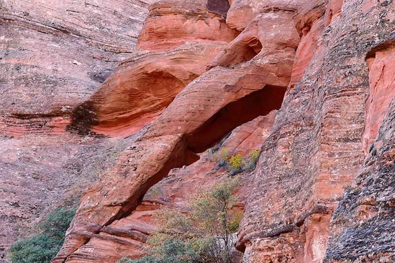 USA Hiking Database: Elephant Arch [Red Cliffs National Conservation Area]