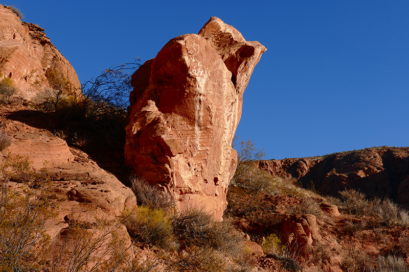 USA Hiking Database: Elephant Arch [Red Cliffs National Conservation Area]