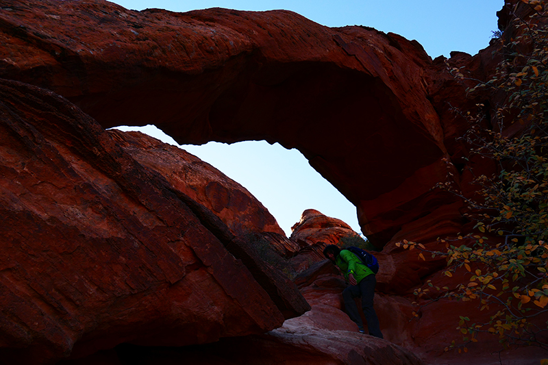 USA Hiking Database: Elephant Arch [Red Cliffs National Conservation Area]