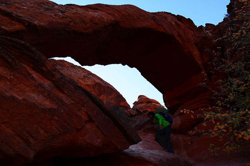 Elephant Arch Trail [Washington]