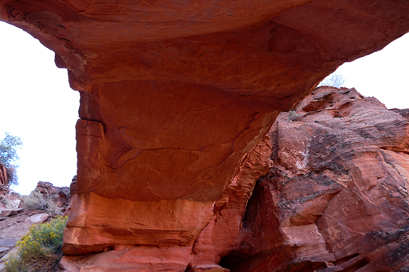 USA Hiking Database: Elephant Arch [Red Cliffs National Conservation Area]