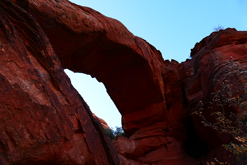 Elephant Arch Trail [Washington]