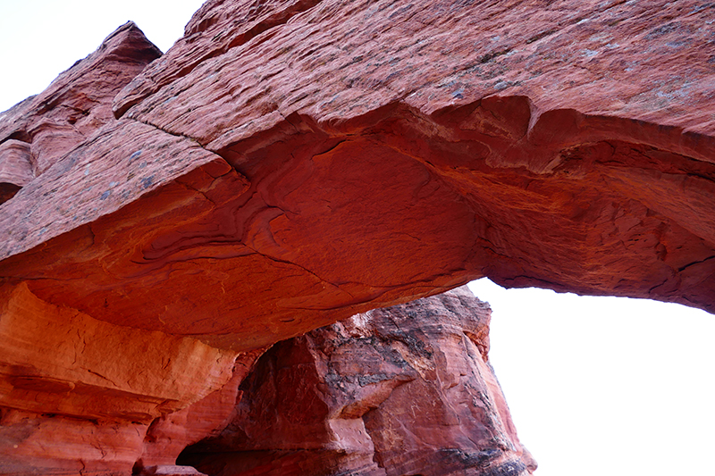 Elephant Arch Trail [Washington]