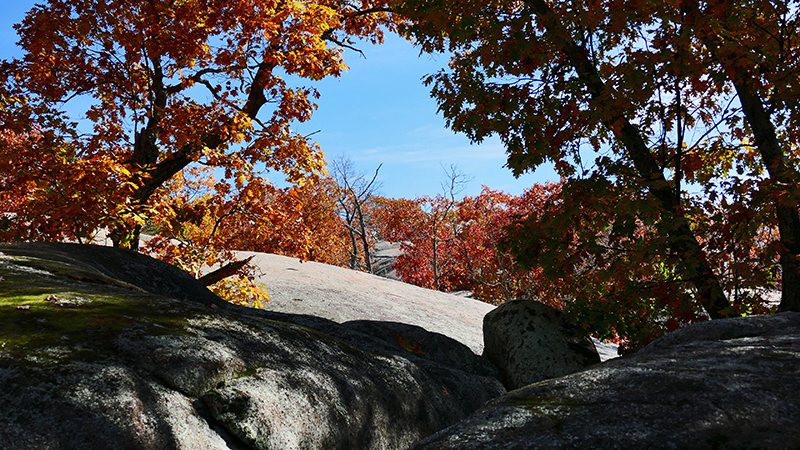 Elephant Rocks State Park