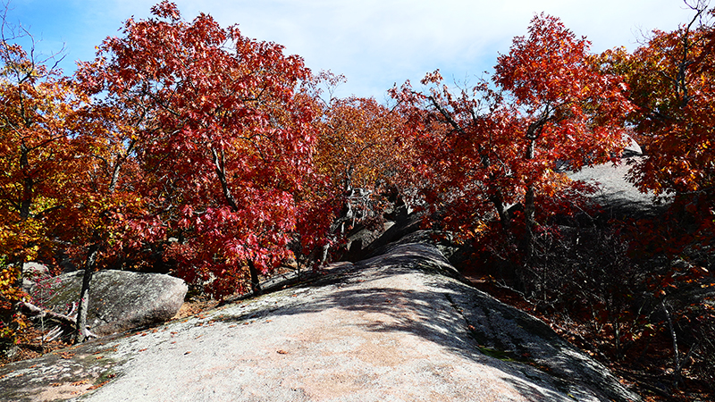 Elephant Rocks State Park