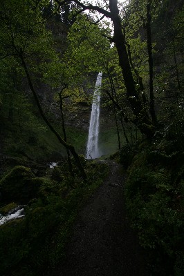 Elowah Falls