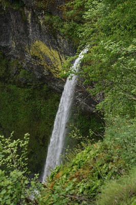 Elowah Falls