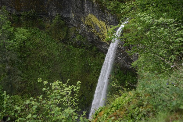 Elowah Falls