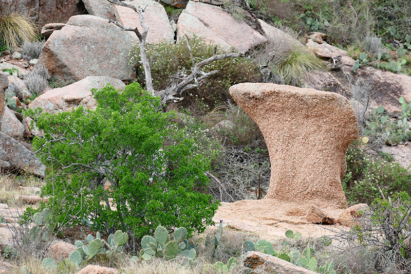 Enchanted Rock State Natural Area