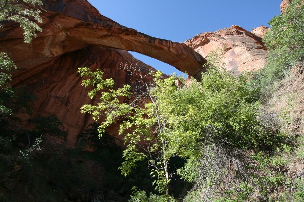 Escalante Natural Bridge