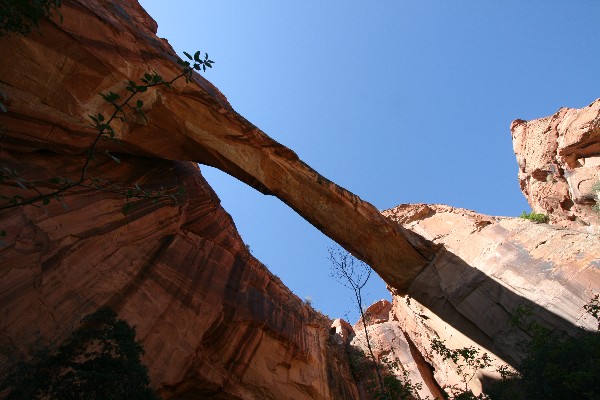 Escalante Natural Bridge