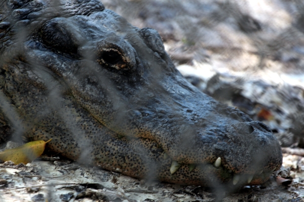 Everglades National Park