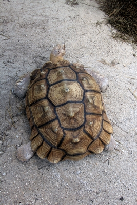 Everglades National Park