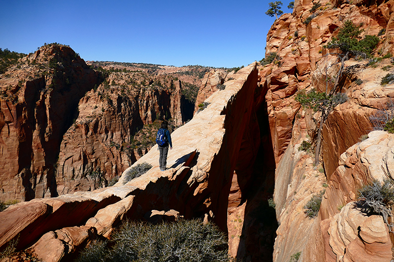 Eye of Heaven aka. Water Canyon Arch [Water Canyon - Canaan Mountain]