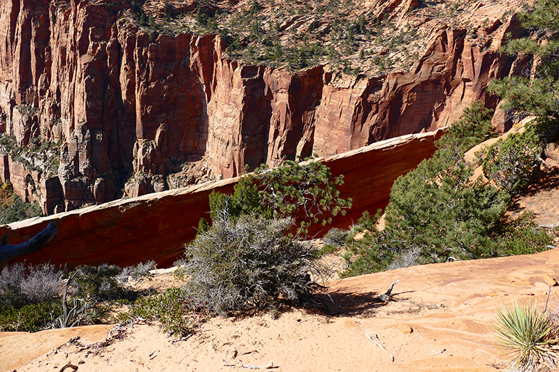 Eye of Heaven aka. Water Canyon Arch [Water Canyon - Canaan Mountain]