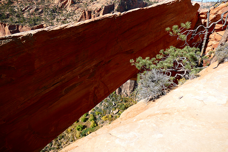 Eye of Heaven aka. Water Canyon Arch [Water Canyon - Canaan Mountain]