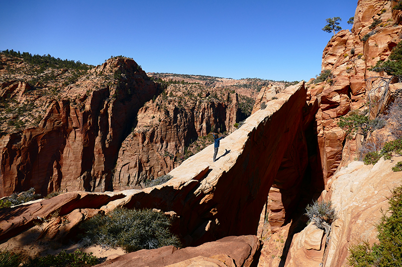 Eye of Heaven aka. Water Canyon Arch [Water Canyon - Canaan Mountain]