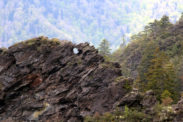 Eye of the Needle [Great Smoky Mountains Nationalpark]