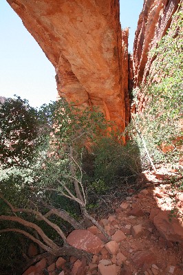 Fay Canyon Arch