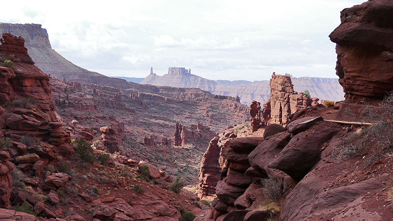 Fisher Towers [Richardson Amphitheater]