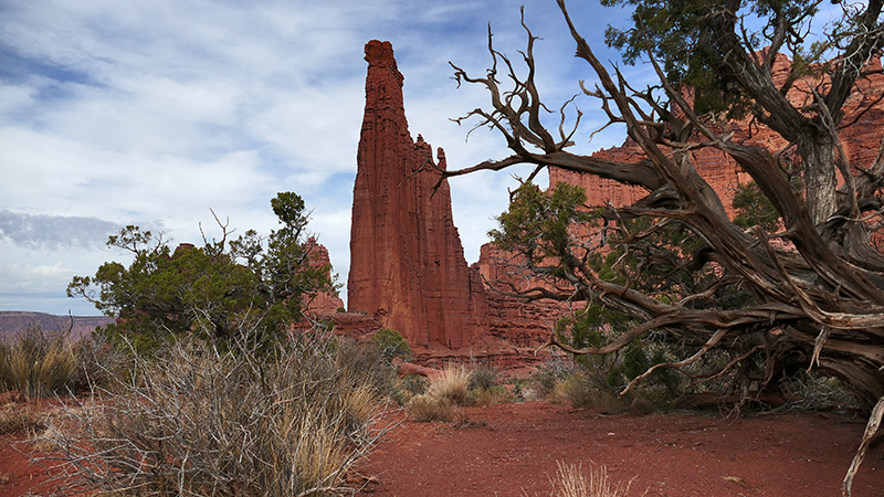 Fisher Towers [Richardson Amphitheater]