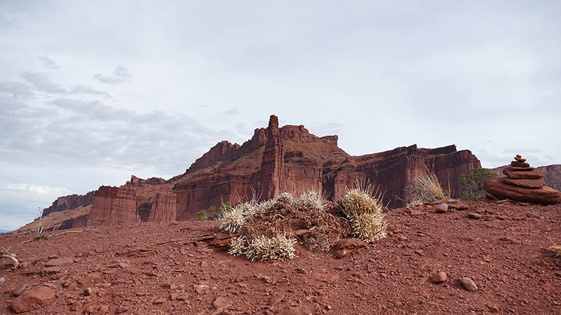 Fisher Towers [Richardson Amphitheater]