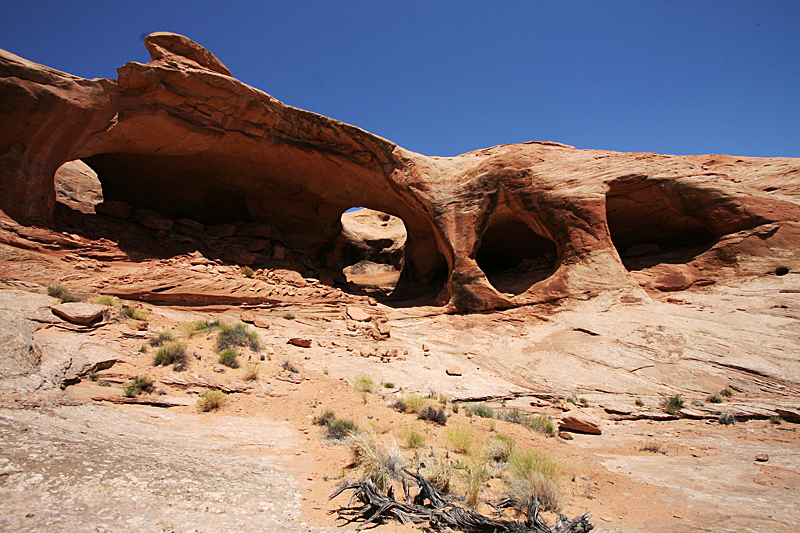 Five Hole Arch aka. The Colonnade