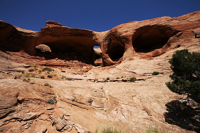 Five Hole Arch aka. The Colonnade