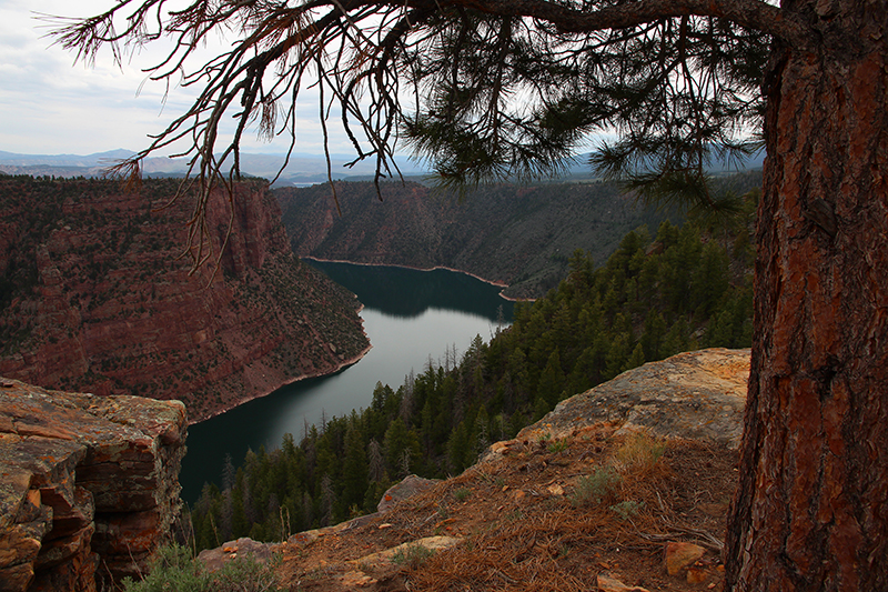 Flaming Gorge National Recreation Area