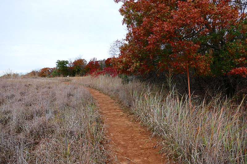 USA Hiking Database: Bilder der Wanderung - Pictures of the hike