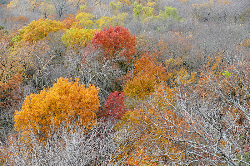 Fort Worth Nature Center and Refuge