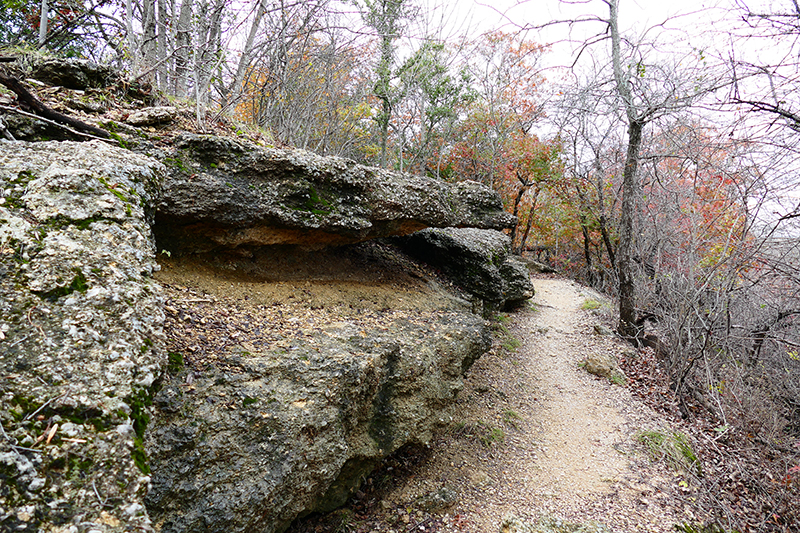 Fort Worth Nature Center and Refuge