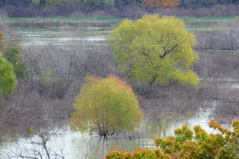 Fort Worth Nature Center and Refuge