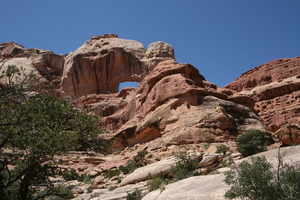 Horse Canyon [Canyonlands NP Needles]