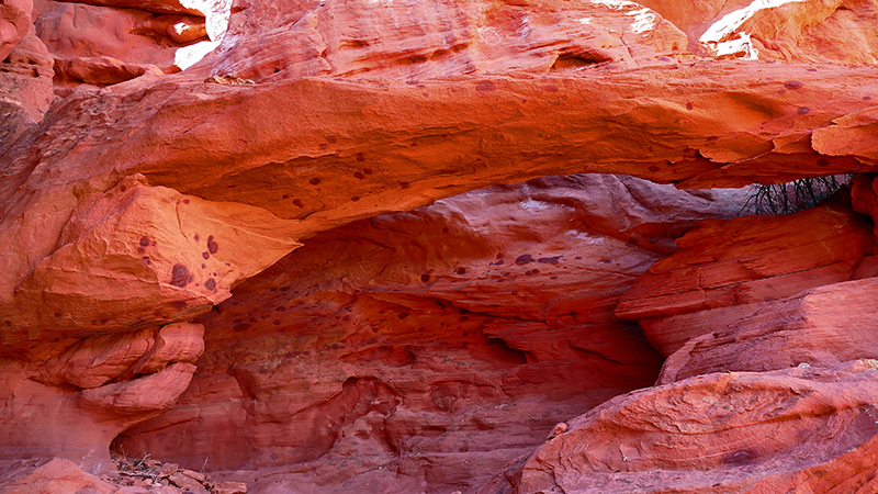 Foxheaven Arch [Coyote Buttes North]