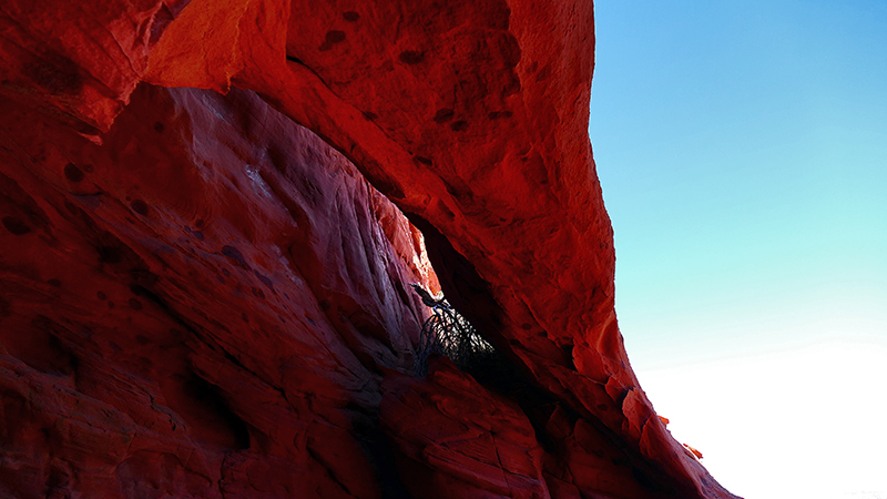 Foxheaven Arch [Coyote Buttes North]