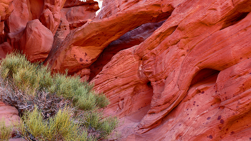 Foxheaven Arch [Coyote Buttes North]